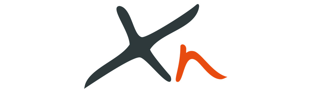 AMT Sybex logo
