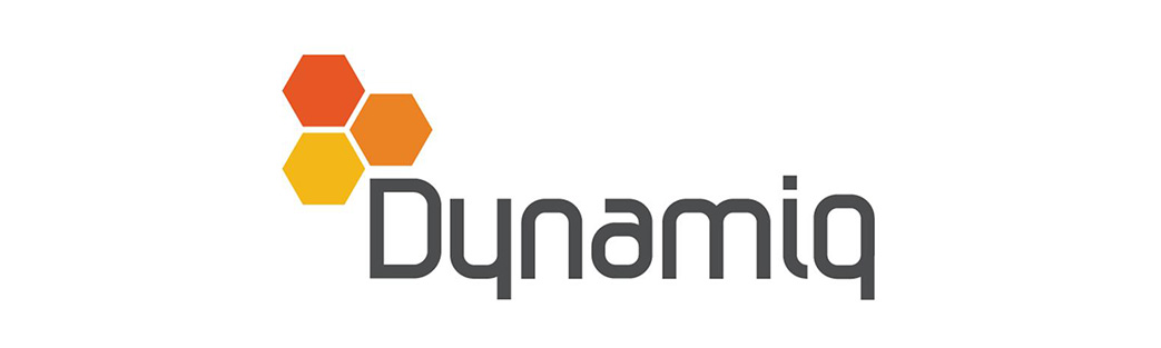 dynamiq logo - risk management vertical