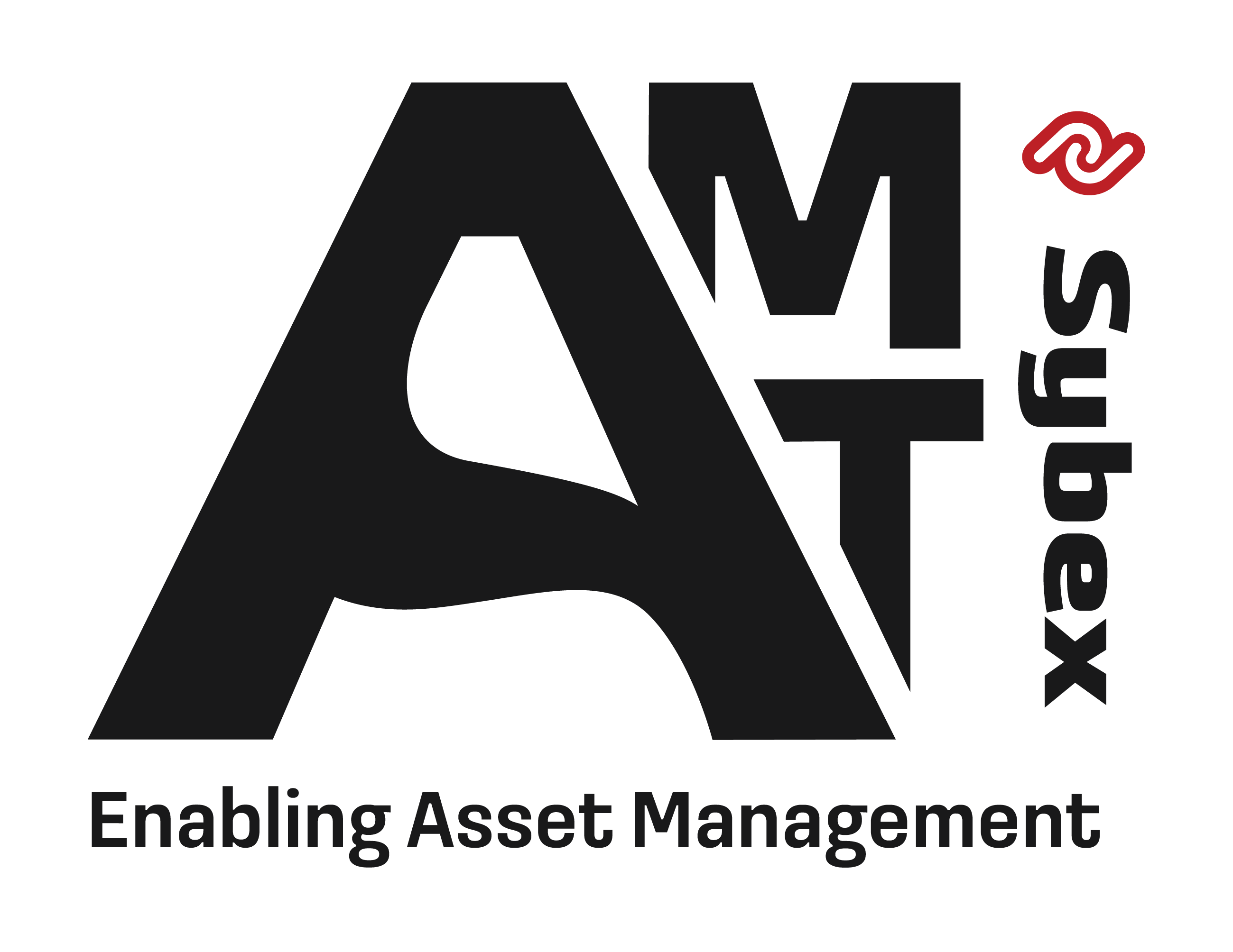 AMT Sybex logo